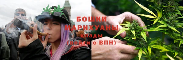 индика Белокуриха
