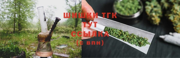 индика Белокуриха