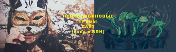 ГАЛЛЮЦИНОГЕННЫЕ ГРИБЫ Балахна
