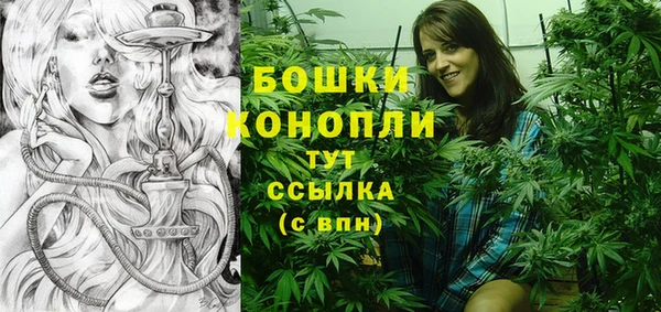 индика Белокуриха